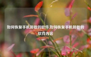 如何恢复手机卸载的软件,如何恢复手机卸载的软件内容