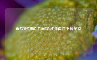 声纹识别软件,声纹识别软件下载免费