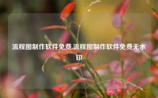 流程图制作软件免费,流程图制作软件免费无水印