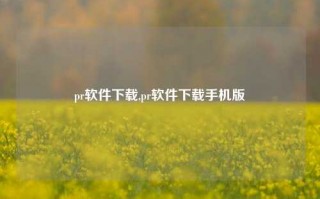 pr软件下载,pr软件下载手机版