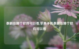 泰剧在哪个软件可以看,苹果手机泰剧在哪个软件可以看