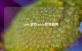 adobe软件,adobe软件官网