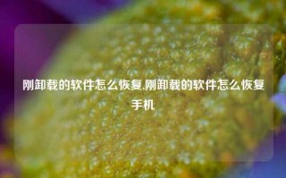 刚卸载的软件怎么恢复,刚卸载的软件怎么恢复手机