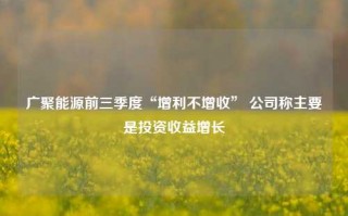 广聚能源前三季度“增利不增收” 公司称主要是投资收益增长