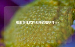 相册管理软件,相册管理软件case