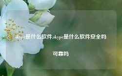 skype是什么软件,skype是什么软件安全吗可靠吗