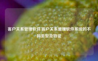 客户关系管理软件,客户关系管理软件系统的不同类型及特征