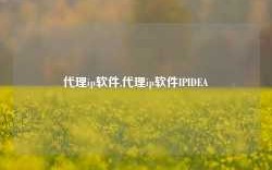 代理ip软件,代理ip软件IPIDEA