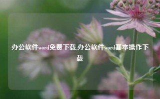 办公软件word免费下载,办公软件word基本操作下载