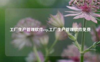 工厂生产管理软件erp,工厂生产管理软件免费