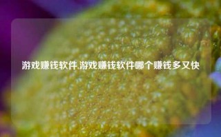 游戏赚钱软件,游戏赚钱软件哪个赚钱多又快