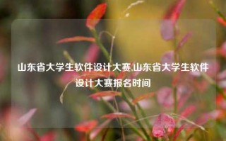 山东省大学生软件设计大赛,山东省大学生软件设计大赛报名时间