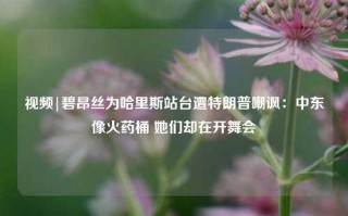 视频|碧昂丝为哈里斯站台遭特朗普嘲讽：中东像火药桶 她们却在开舞会