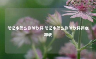 笔记本怎么删除软件,笔记本怎么删除软件彻底卸载