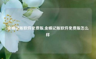 金蝶记账软件免费版,金蝶记账软件免费版怎么样