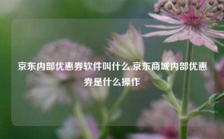 京东内部优惠券软件叫什么,京东商城内部优惠券是什么操作