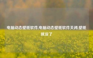 电脑动态壁纸软件,电脑动态壁纸软件关闭,壁纸就没了