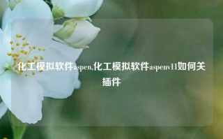 化工模拟软件aspen,化工模拟软件aspenv11如何关插件