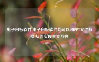 电子白板软件,电子白板软件均可以和PPT文件互换,从而实现其交互性