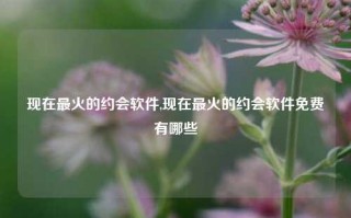 现在最火的约会软件,现在最火的约会软件免费有哪些