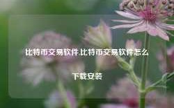 比特币交易软件,比特币交易软件怎么下载安装