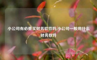 小公司有必要买财务软件吗,小公司一般用什么财务软件