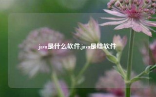 java是什么软件,java是啥软件