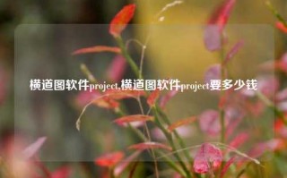 横道图软件project,横道图软件project要多少钱