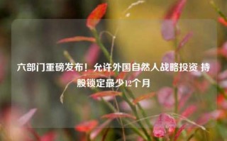 六部门重磅发布！允许外国自然人战略投资 持股锁定最少12个月