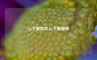 ftp下载软件,ftp下载官网