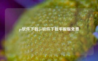 ps软件下载,ps软件下载平板版免费