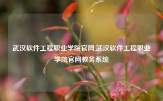 武汉软件工程职业学院官网,武汉软件工程职业学院官网教务系统