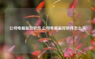 公司电脑监控软件,公司电脑监控软件怎么关