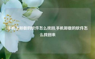 手机上卸载的软件怎么找回,手机卸载的软件怎么找回来