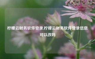 柠檬云财务软件登录,柠檬云财务软件登录信息可以改吗