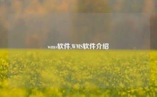 wms软件,WMS软件介绍