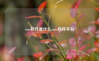 saas软件是什么,saas软件平台