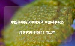 中国科学院软件研究所,中国科学院软件研究所控股的上市公司