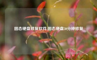 固态硬盘修复软件,固态硬盘30分钟修复