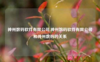 神州数码软件有限公司,神州数码软件有限公司和神州数码的关系