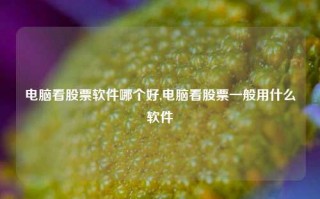 电脑看股票软件哪个好,电脑看股票一般用什么软件