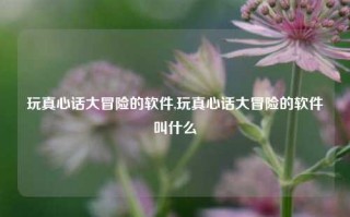 玩真心话大冒险的软件,玩真心话大冒险的软件叫什么