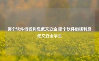 哪个软件借钱利息低又安全,哪个软件借钱利息低又安全学生