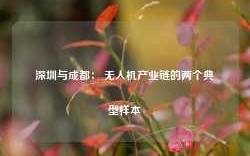 深圳与成都： 无人机产业链的两个典型样本