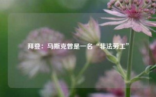 拜登：马斯克曾是一名“非法劳工”