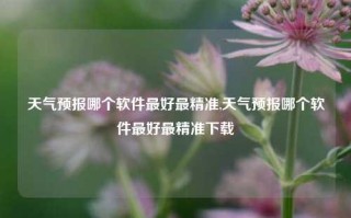 天气预报哪个软件最好最精准,天气预报哪个软件最好最精准下载