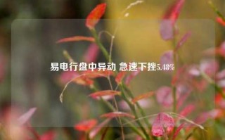 易电行盘中异动 急速下挫5.48%