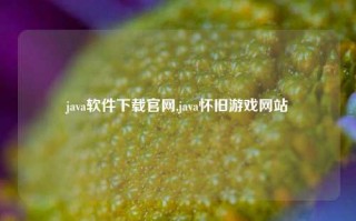 java软件下载官网,java怀旧游戏网站