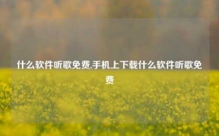 什么软件听歌免费,手机上下载什么软件听歌免费