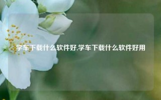 学车下载什么软件好,学车下载什么软件好用